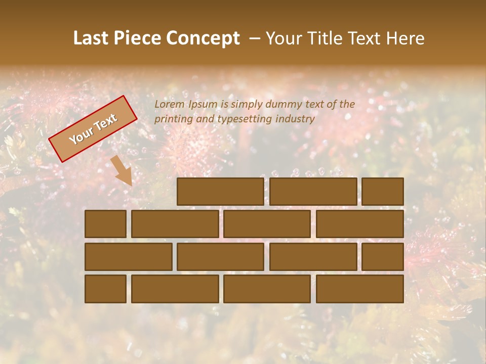 Sundew (Drosera Rotundifolia) Close-Up In Sunny Summer Day PowerPoint Template