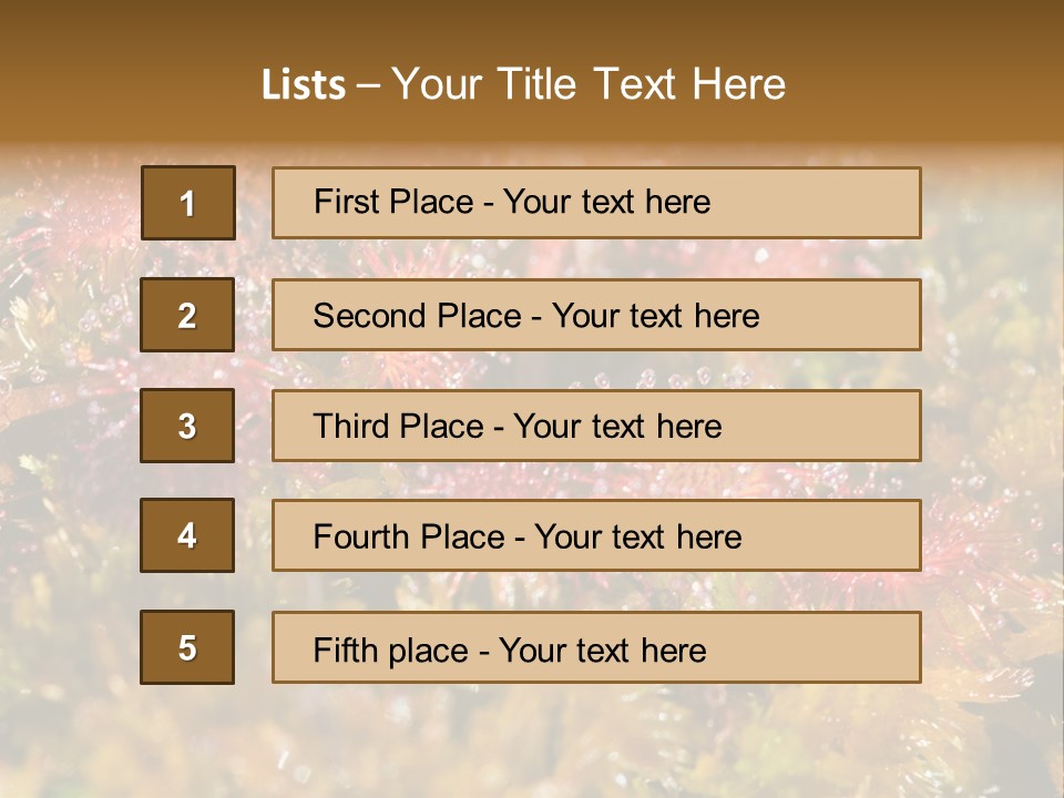 Sundew (Drosera Rotundifolia) Close-Up In Sunny Summer Day PowerPoint Template