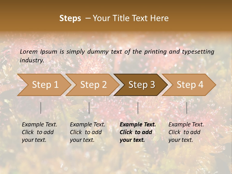 Sundew (Drosera Rotundifolia) Close-Up In Sunny Summer Day PowerPoint Template