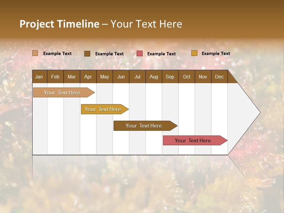 Sundew (Drosera Rotundifolia) Close-Up In Sunny Summer Day PowerPoint Template