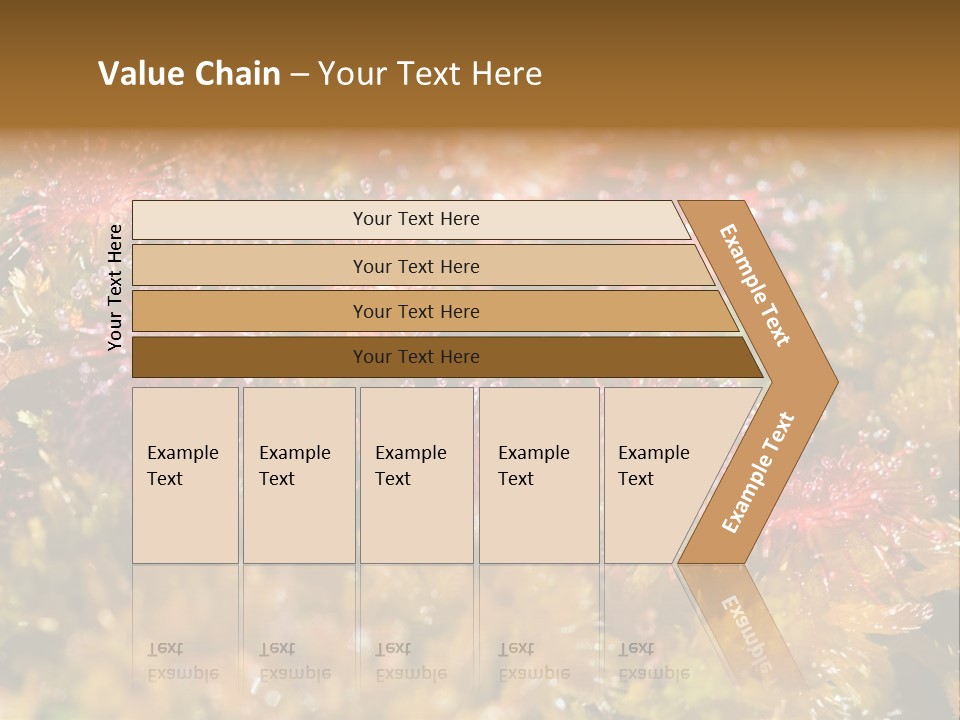 Sundew (Drosera Rotundifolia) Close-Up In Sunny Summer Day PowerPoint Template
