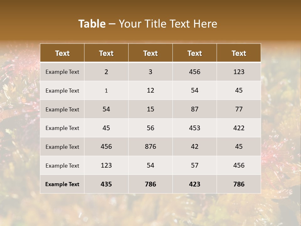 Sundew (Drosera Rotundifolia) Close-Up In Sunny Summer Day PowerPoint Template