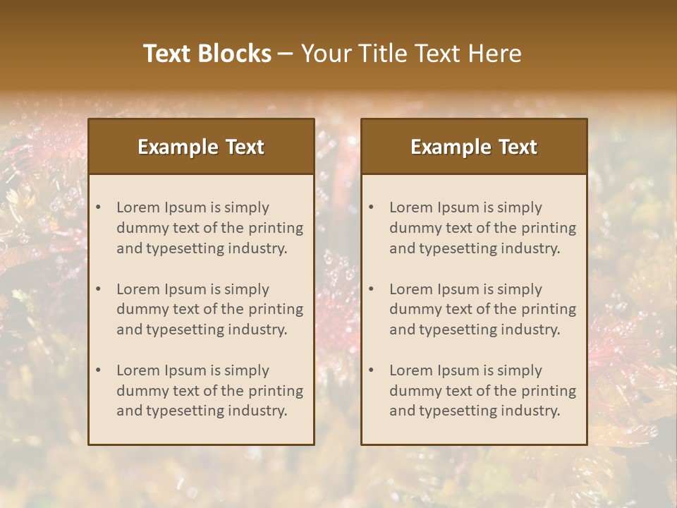 Sundew (Drosera Rotundifolia) Close-Up In Sunny Summer Day PowerPoint Template