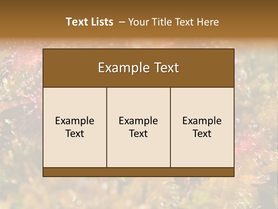 Sundew (Drosera Rotundifolia) Close-Up In Sunny Summer Day PowerPoint Template