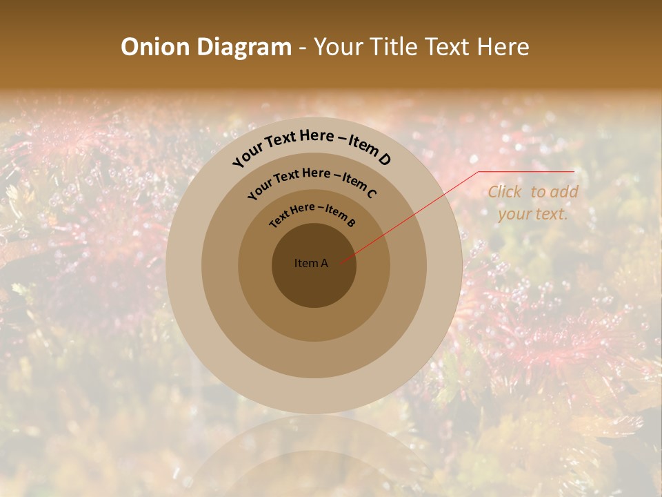 Sundew (Drosera Rotundifolia) Close-Up In Sunny Summer Day PowerPoint Template