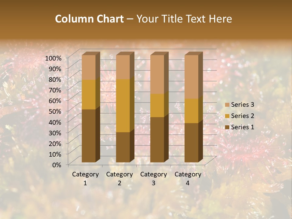 Sundew (Drosera Rotundifolia) Close-Up In Sunny Summer Day PowerPoint Template