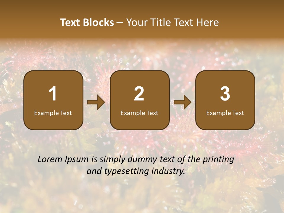 Sundew (Drosera Rotundifolia) Close-Up In Sunny Summer Day PowerPoint Template