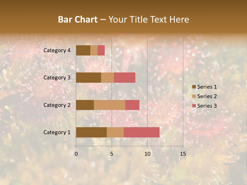 Sundew (Drosera Rotundifolia) Close-Up In Sunny Summer Day PowerPoint Template