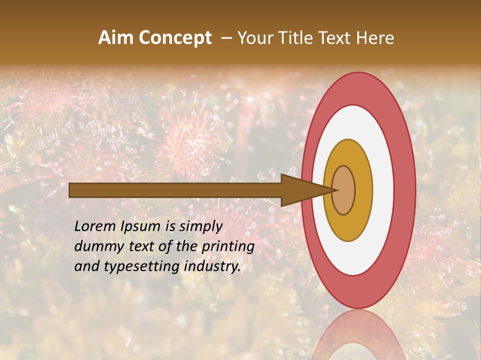 Sundew (Drosera Rotundifolia) Close-Up In Sunny Summer Day PowerPoint Template