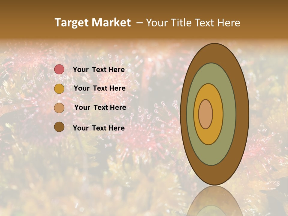 Sundew (Drosera Rotundifolia) Close-Up In Sunny Summer Day PowerPoint Template