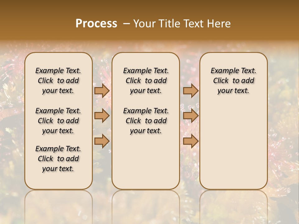 Sundew (Drosera Rotundifolia) Close-Up In Sunny Summer Day PowerPoint Template