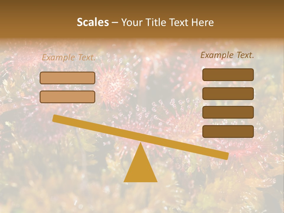 Sundew (Drosera Rotundifolia) Close-Up In Sunny Summer Day PowerPoint Template