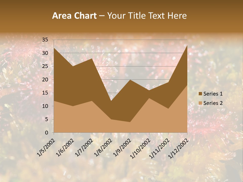 Sundew (Drosera Rotundifolia) Close-Up In Sunny Summer Day PowerPoint Template