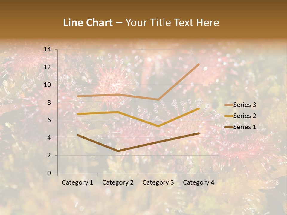 Sundew (Drosera Rotundifolia) Close-Up In Sunny Summer Day PowerPoint Template