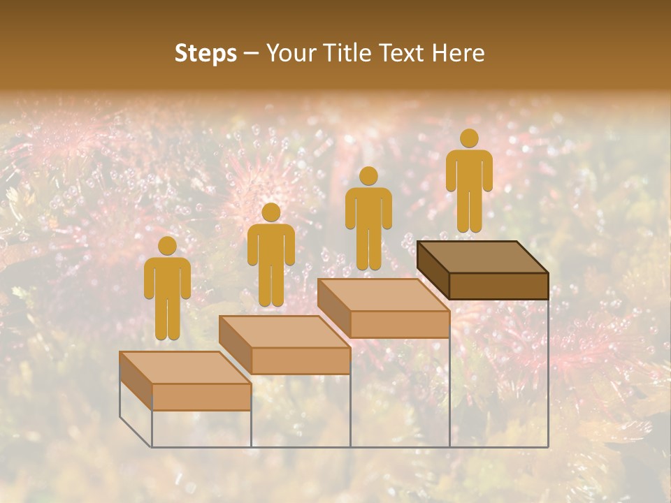 Sundew (Drosera Rotundifolia) Close-Up In Sunny Summer Day PowerPoint Template