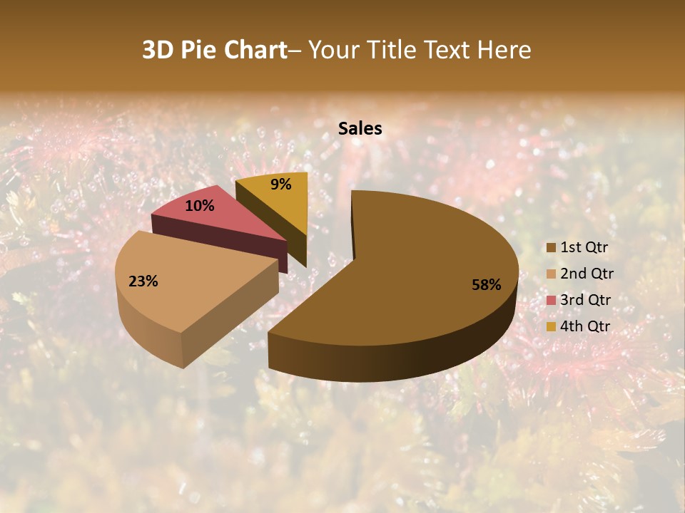 Sundew (Drosera Rotundifolia) Close-Up In Sunny Summer Day PowerPoint Template
