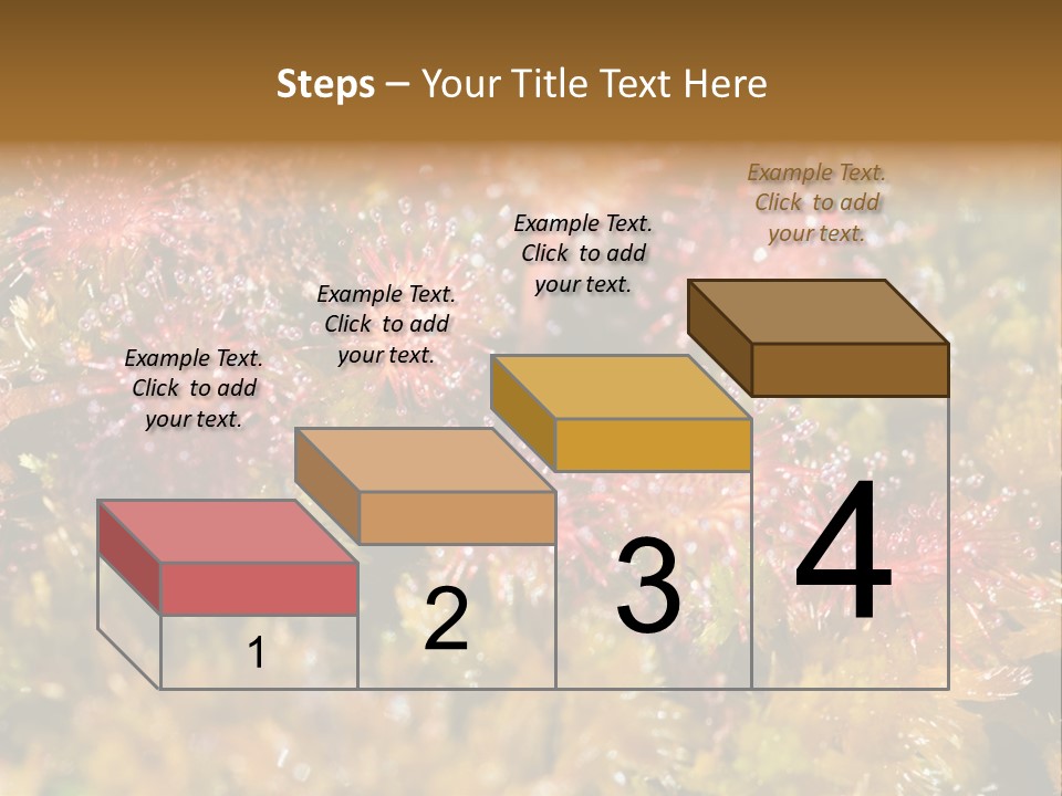 Sundew (Drosera Rotundifolia) Close-Up In Sunny Summer Day PowerPoint Template