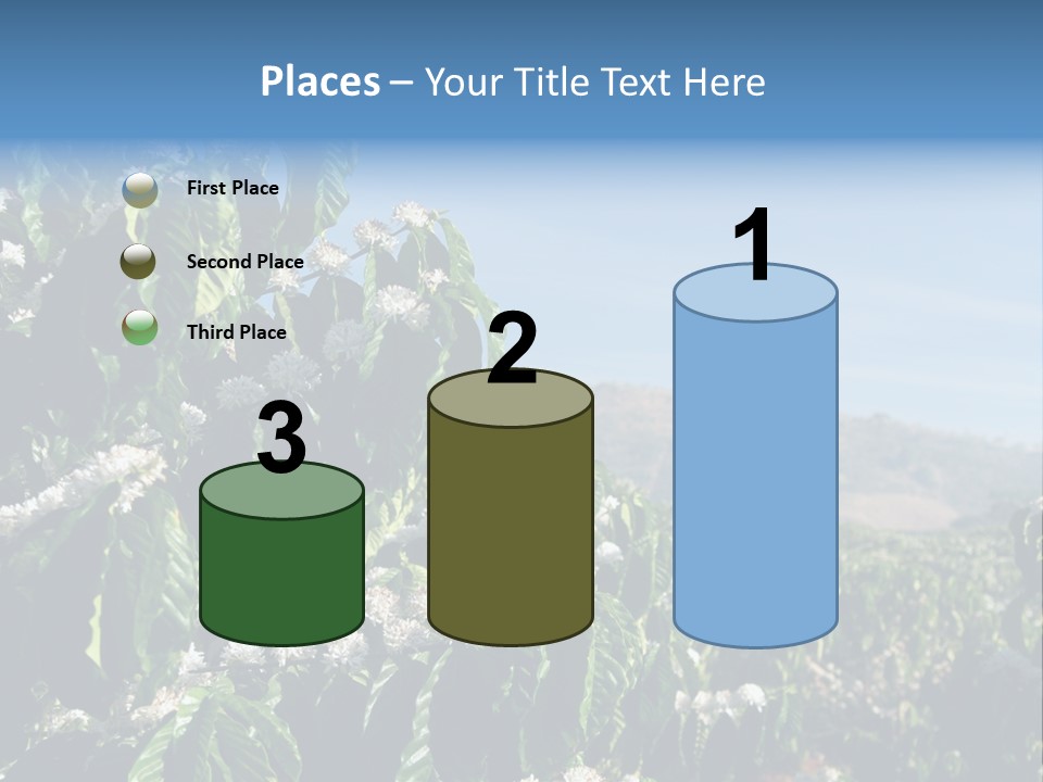 Coffee Tree In Blossom (Coffee Plantation In Vietnam) PowerPoint Template