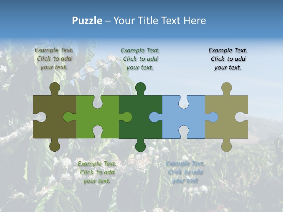 Coffee Tree In Blossom (Coffee Plantation In Vietnam) PowerPoint Template