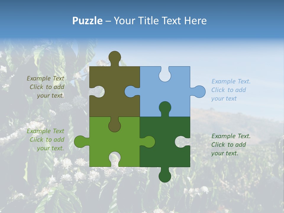 Coffee Tree In Blossom (Coffee Plantation In Vietnam) PowerPoint Template