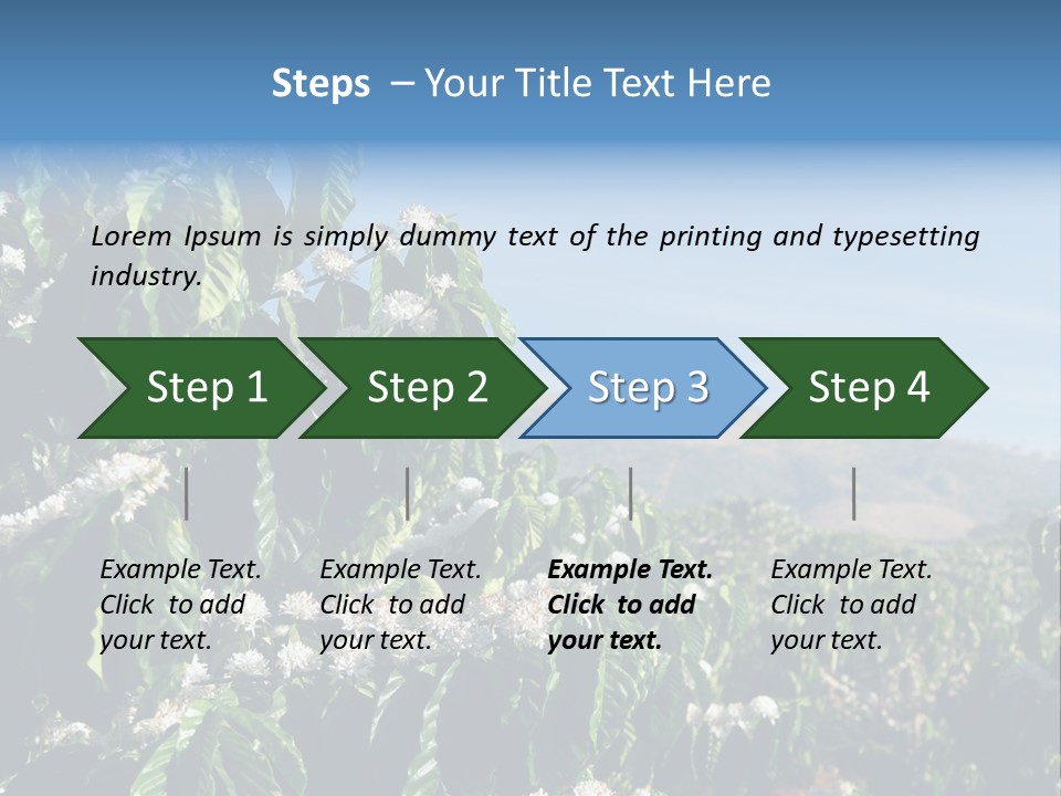 Coffee Tree In Blossom (Coffee Plantation In Vietnam) PowerPoint Template