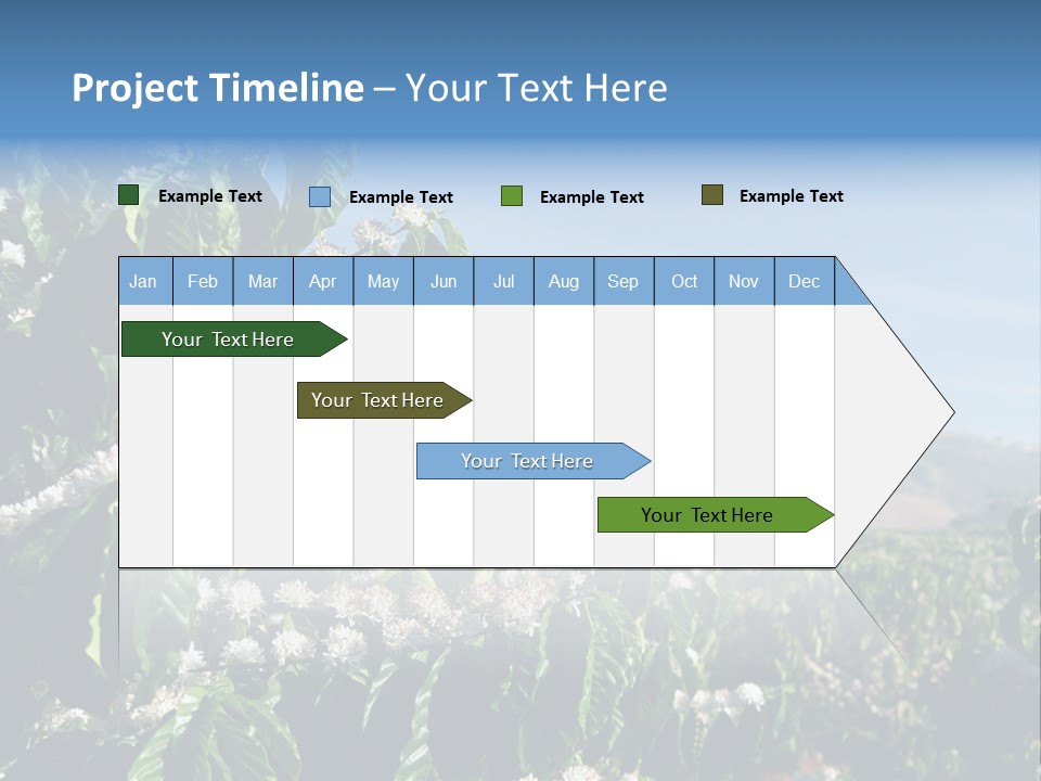 Coffee Tree In Blossom (Coffee Plantation In Vietnam) PowerPoint Template