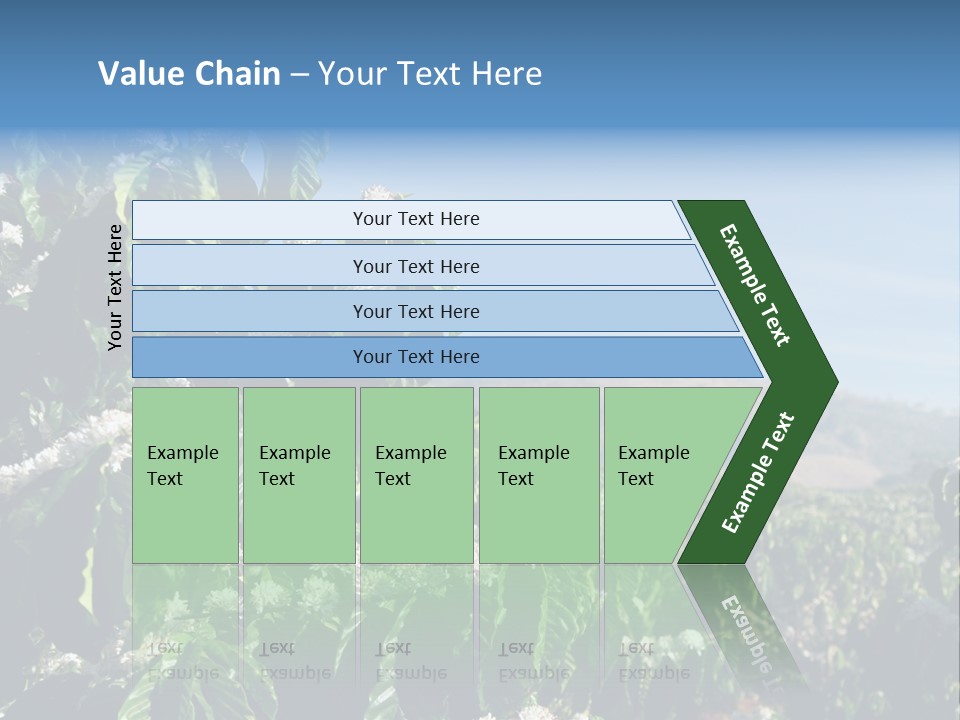 Coffee Tree In Blossom (Coffee Plantation In Vietnam) PowerPoint Template