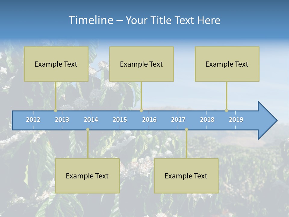 Coffee Tree In Blossom (Coffee Plantation In Vietnam) PowerPoint Template