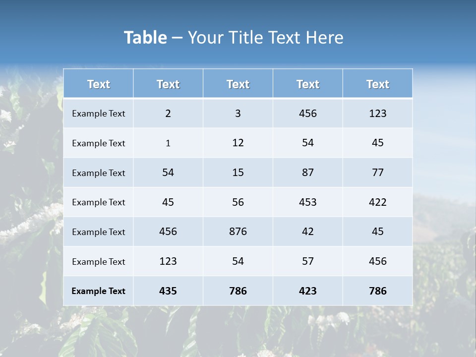 Coffee Tree In Blossom (Coffee Plantation In Vietnam) PowerPoint Template