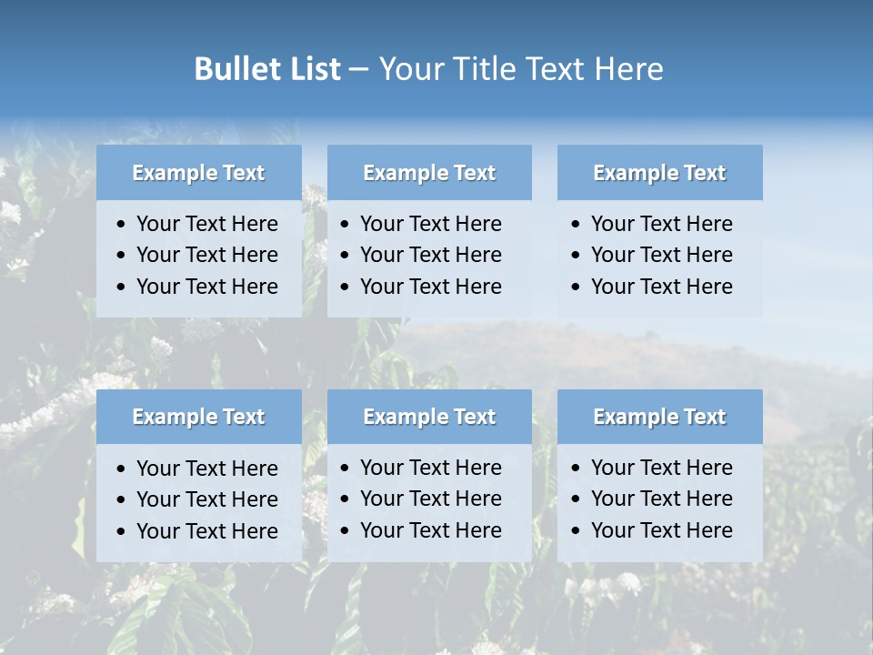 Coffee Tree In Blossom (Coffee Plantation In Vietnam) PowerPoint Template