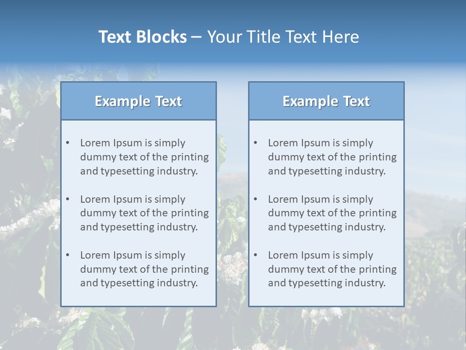 Coffee Tree In Blossom (Coffee Plantation In Vietnam) PowerPoint Template