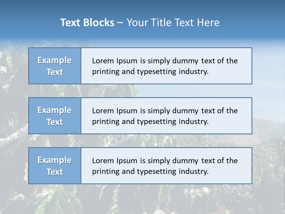 Coffee Tree In Blossom (Coffee Plantation In Vietnam) PowerPoint Template