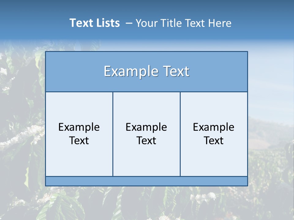 Coffee Tree In Blossom (Coffee Plantation In Vietnam) PowerPoint Template