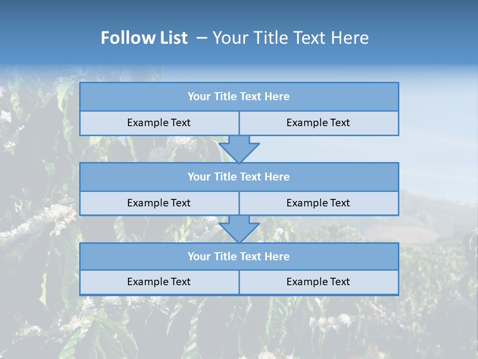 Coffee Tree In Blossom (Coffee Plantation In Vietnam) PowerPoint Template