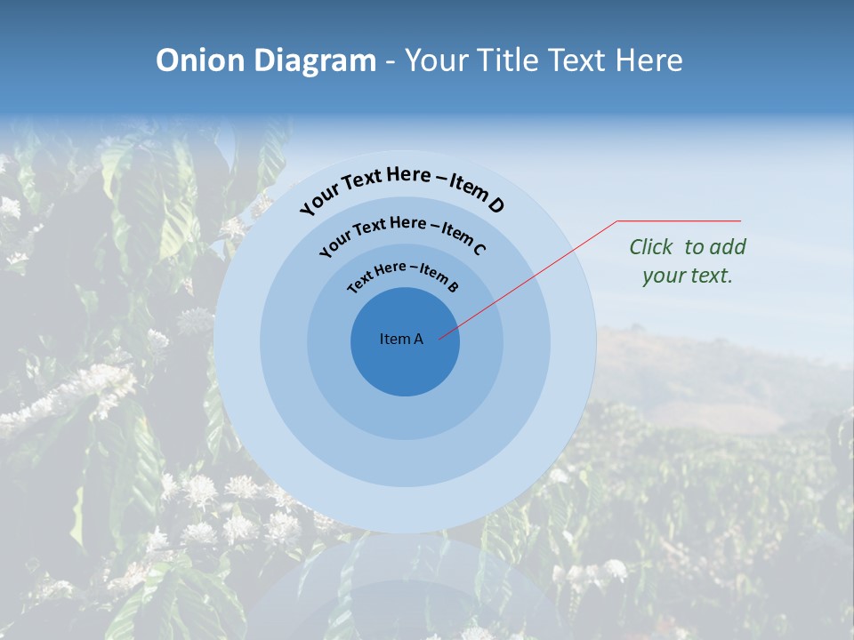 Coffee Tree In Blossom (Coffee Plantation In Vietnam) PowerPoint Template