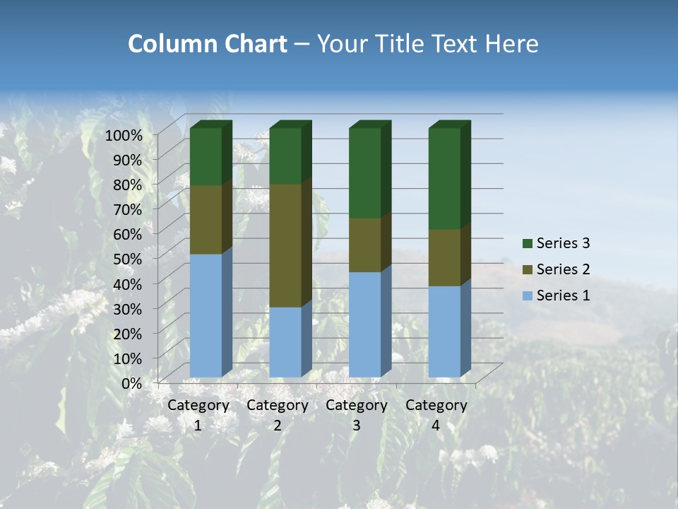 Coffee Tree In Blossom (Coffee Plantation In Vietnam) PowerPoint Template