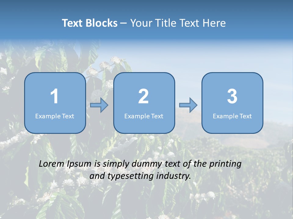 Coffee Tree In Blossom (Coffee Plantation In Vietnam) PowerPoint Template