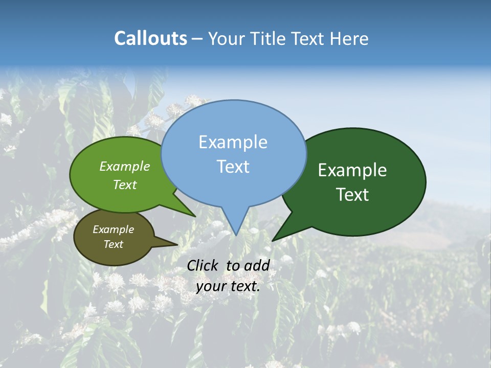 Coffee Tree In Blossom (Coffee Plantation In Vietnam) PowerPoint Template