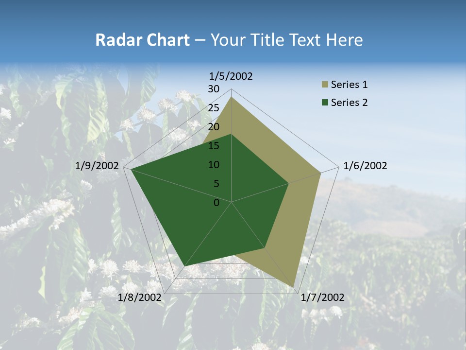Coffee Tree In Blossom (Coffee Plantation In Vietnam) PowerPoint Template