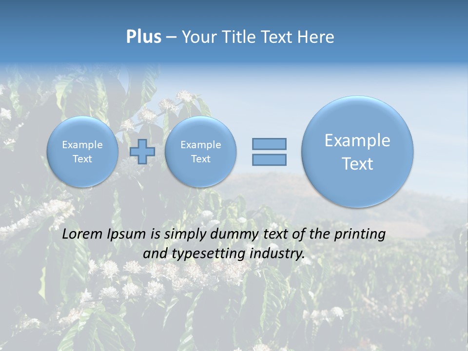 Coffee Tree In Blossom (Coffee Plantation In Vietnam) PowerPoint Template