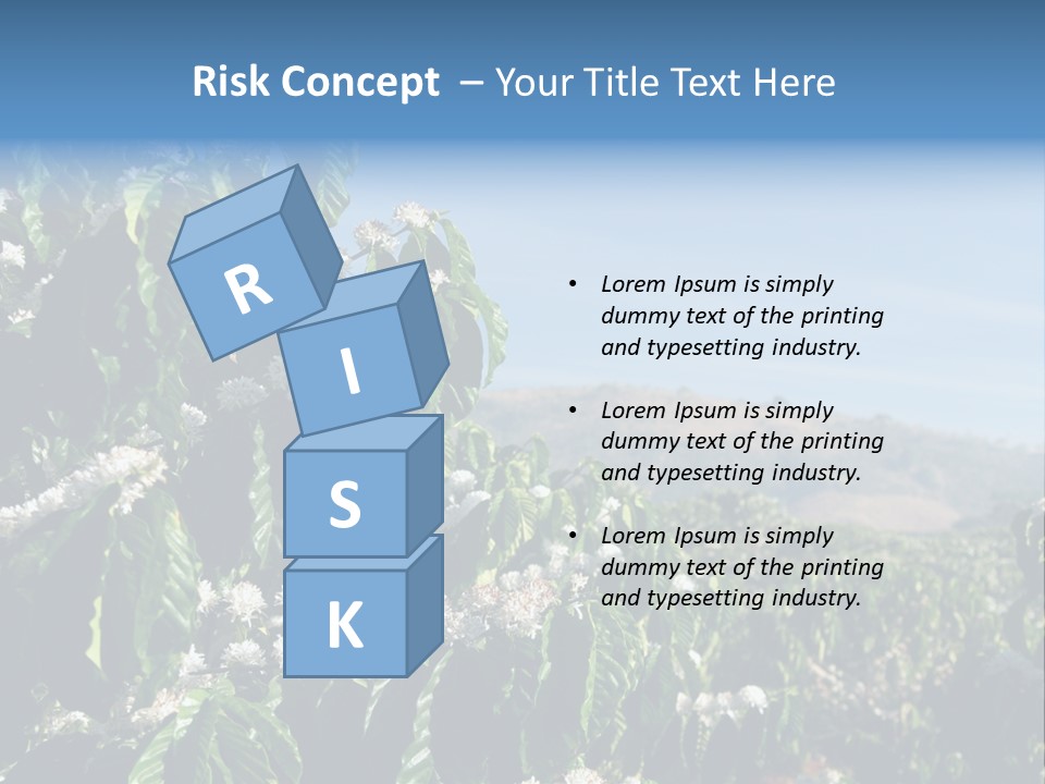 Coffee Tree In Blossom (Coffee Plantation In Vietnam) PowerPoint Template