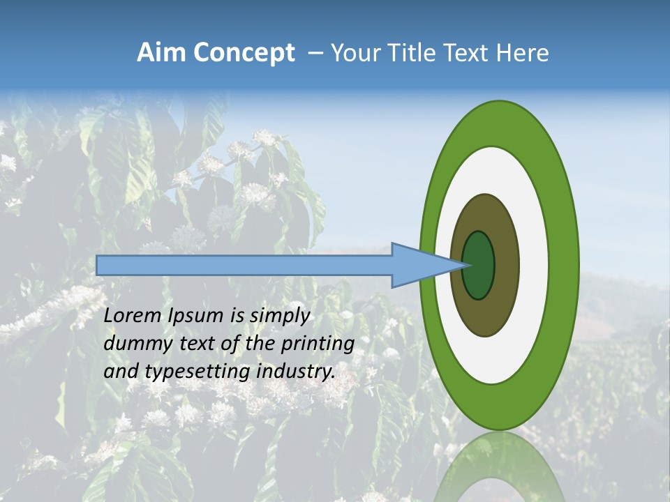 Coffee Tree In Blossom (Coffee Plantation In Vietnam) PowerPoint Template