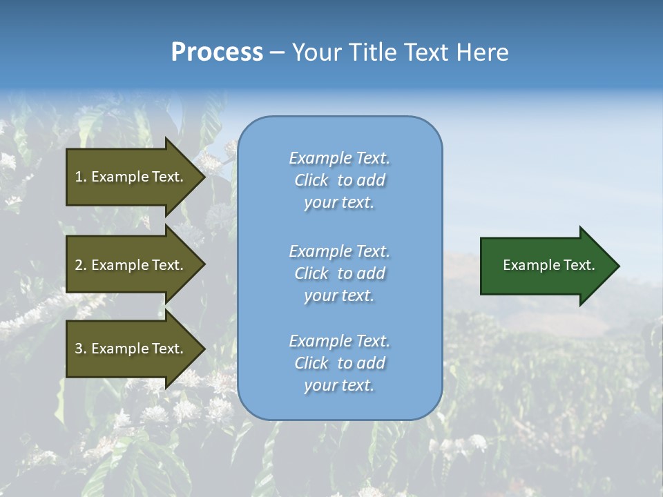 Coffee Tree In Blossom (Coffee Plantation In Vietnam) PowerPoint Template