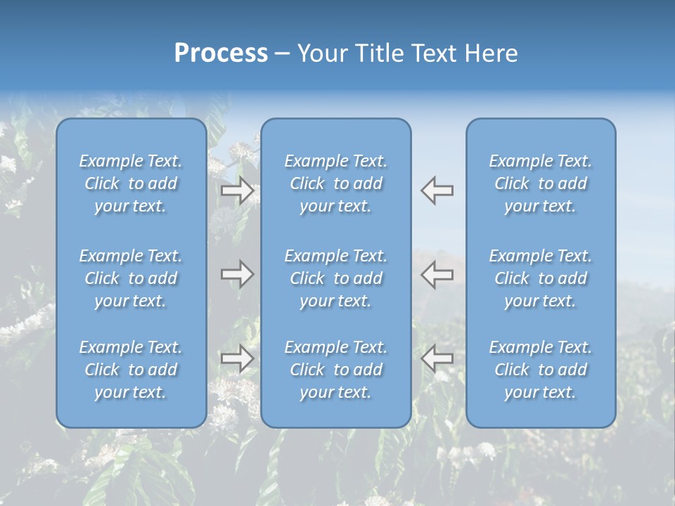 Coffee Tree In Blossom (Coffee Plantation In Vietnam) PowerPoint Template