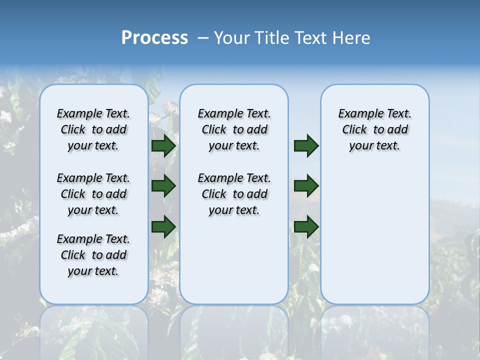Coffee Tree In Blossom (Coffee Plantation In Vietnam) PowerPoint Template
