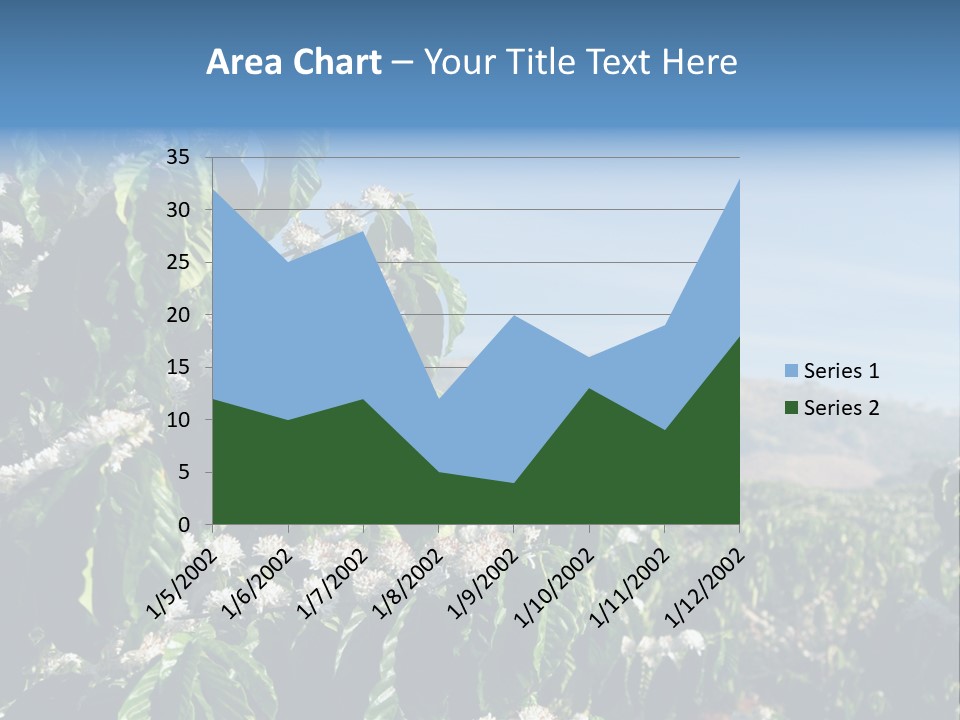 Coffee Tree In Blossom (Coffee Plantation In Vietnam) PowerPoint Template