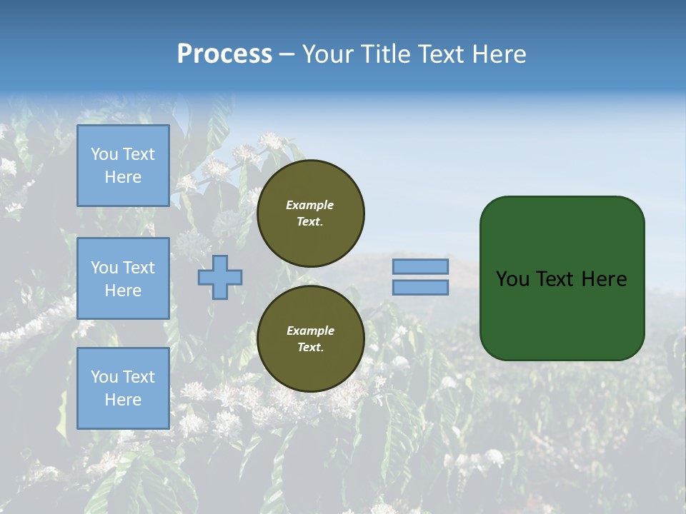 Coffee Tree In Blossom (Coffee Plantation In Vietnam) PowerPoint Template