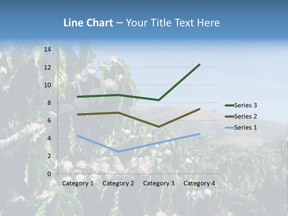 Coffee Tree In Blossom (Coffee Plantation In Vietnam) PowerPoint Template
