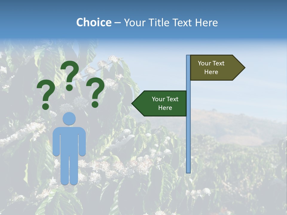 Coffee Tree In Blossom (Coffee Plantation In Vietnam) PowerPoint Template