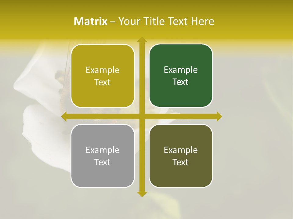 Strawberry Pollen PowerPoint Template